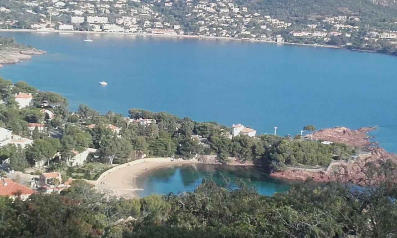 Appartement Vue Mer Piscines Parking Les Coraux Agay Plage Saint-Raphaël Exteriér fotografie